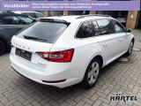 Skoda Superb bei Reisemobile.expert - Abbildung (3 / 9)