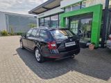 Skoda Octavia bei Reisemobile.expert - Abbildung (7 / 15)