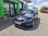 Skoda Octavia bei Reisemobile.expert - Abbildung (3 / 15)