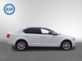 Skoda Octavia bei Reisemobile.expert - Abbildung (5 / 14)