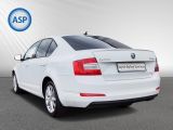 Skoda Octavia bei Reisemobile.expert - Abbildung (3 / 14)