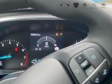 Ford Focus bei Reisemobile.expert - Abbildung (6 / 15)