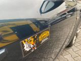 Opel Insignia bei Reisemobile.expert - Abbildung (8 / 15)