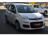 Fiat Panda bei Reisemobile.expert - Abbildung (6 / 13)