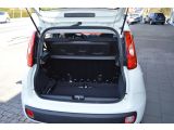 Fiat Panda bei Reisemobile.expert - Abbildung (5 / 13)