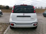 Fiat Panda bei Reisemobile.expert - Abbildung (5 / 15)