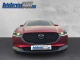 Mazda CX-30 bei Reisemobile.expert - Abbildung (8 / 15)