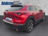 Mazda CX-30 bei Reisemobile.expert - Abbildung (5 / 15)