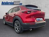 Mazda CX-30 bei Reisemobile.expert - Abbildung (3 / 15)