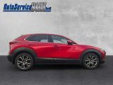Mazda CX-30 bei Reisemobile.expert - Abbildung (6 / 15)
