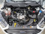 Ford EcoSport bei Reisemobile.expert - Abbildung (15 / 15)