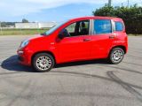 Fiat Panda bei Reisemobile.expert - Abbildung (3 / 15)