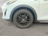 Ford Fiesta bei Reisemobile.expert - Abbildung (15 / 15)