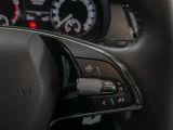 Skoda Fabia bei Reisemobile.expert - Abbildung (15 / 15)