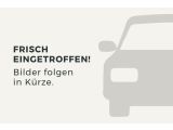 Renault Megane bei Reisemobile.expert - Abbildung (3 / 3)