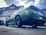 Dodge Challenger bei Reisemobile.expert - Abbildung (14 / 15)