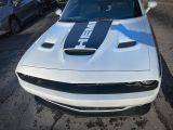 Dodge Challenger bei Reisemobile.expert - Abbildung (6 / 15)