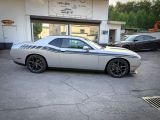 Dodge Challenger bei Reisemobile.expert - Abbildung (4 / 15)