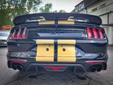 Ford Mustang bei Reisemobile.expert - Abbildung (15 / 15)