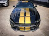 Ford Mustang bei Reisemobile.expert - Abbildung (12 / 15)