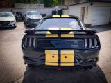 Ford Mustang bei Reisemobile.expert - Abbildung (6 / 15)