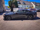 Ford Mustang bei Reisemobile.expert - Abbildung (8 / 15)