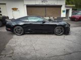 Ford Mustang bei Reisemobile.expert - Abbildung (9 / 15)