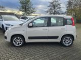 Fiat Panda bei Reisemobile.expert - Abbildung (3 / 15)