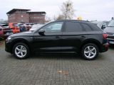 Audi Q5 bei Reisemobile.expert - Abbildung (6 / 15)