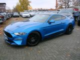 Ford Mustang bei Reisemobile.expert - Abbildung (8 / 15)