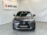 Lexus UX bei Reisemobile.expert - Abbildung (2 / 15)