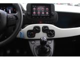 Fiat Panda bei Reisemobile.expert - Abbildung (15 / 15)