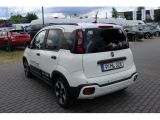Fiat Panda bei Reisemobile.expert - Abbildung (5 / 15)