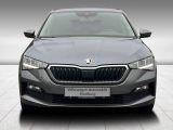 Skoda Scala bei Reisemobile.expert - Abbildung (3 / 15)