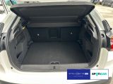Citroen C4 bei Reisemobile.expert - Abbildung (6 / 15) Citroen C4 bei Reisemobile.expert - Abbildung (6 / 15)
