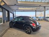 VW New Beetle bei Reisemobile.expert - Abbildung (14 / 15) VW New Beetle bei Reisemobile.expert - Abbildung (14 / 15)