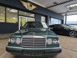 Mercedes-Benz 200 bei Reisemobile.expert - Abbildung (4 / 15)