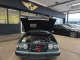 Mercedes-Benz 200 bei Reisemobile.expert - Abbildung (14 / 15)