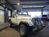 Jeep CJ bei Reisemobile.expert - Abbildung (6 / 15)