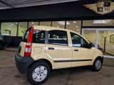 Fiat Panda bei Reisemobile.expert - Abbildung (7 / 15)