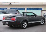 Ford Mustang bei Reisemobile.expert - Abbildung (8 / 15)