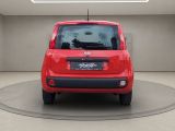 Fiat Panda bei Reisemobile.expert - Abbildung (10 / 15)