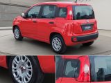 Fiat Panda bei Reisemobile.expert - Abbildung (11 / 15)
