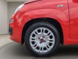 Fiat Panda bei Reisemobile.expert - Abbildung (15 / 15)