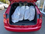 Opel Astra bei Reisemobile.expert - Abbildung (6 / 10)