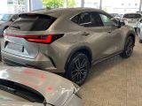 Lexus NX bei Reisemobile.expert - Abbildung (6 / 15)