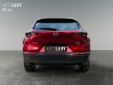Mazda CX-30 bei Reisemobile.expert - Abbildung (5 / 15)