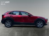 Mazda CX-30 bei Reisemobile.expert - Abbildung (7 / 15)