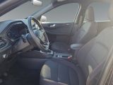 Ford Kuga bei Reisemobile.expert - Abbildung (10 / 15)