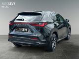 Lexus NX bei Reisemobile.expert - Abbildung (6 / 15)